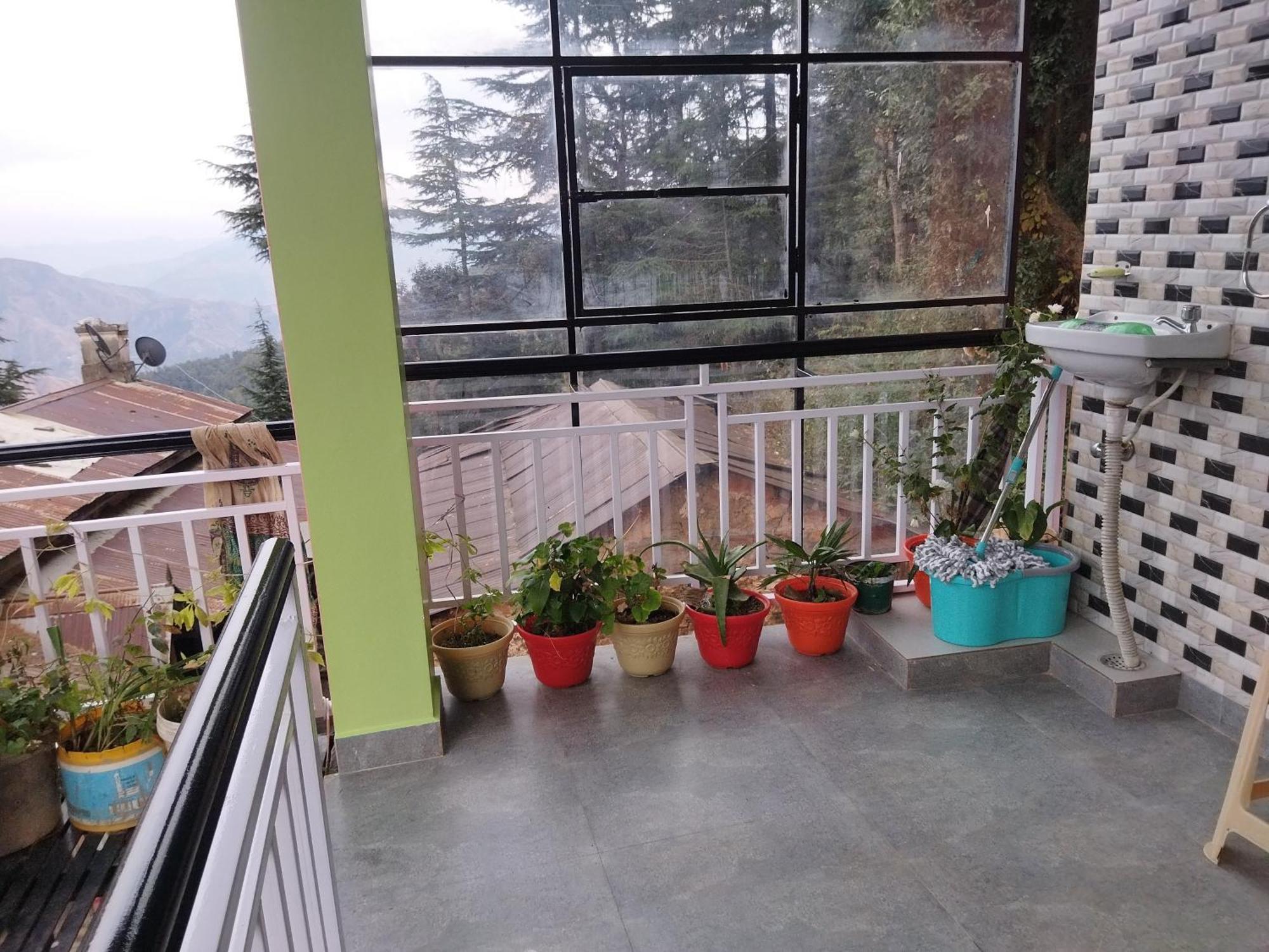 Tree Valley Homestay Chail Exteriér fotografie