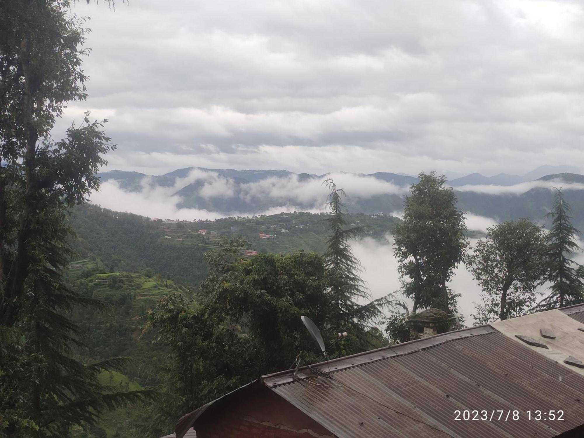 Tree Valley Homestay Chail Exteriér fotografie