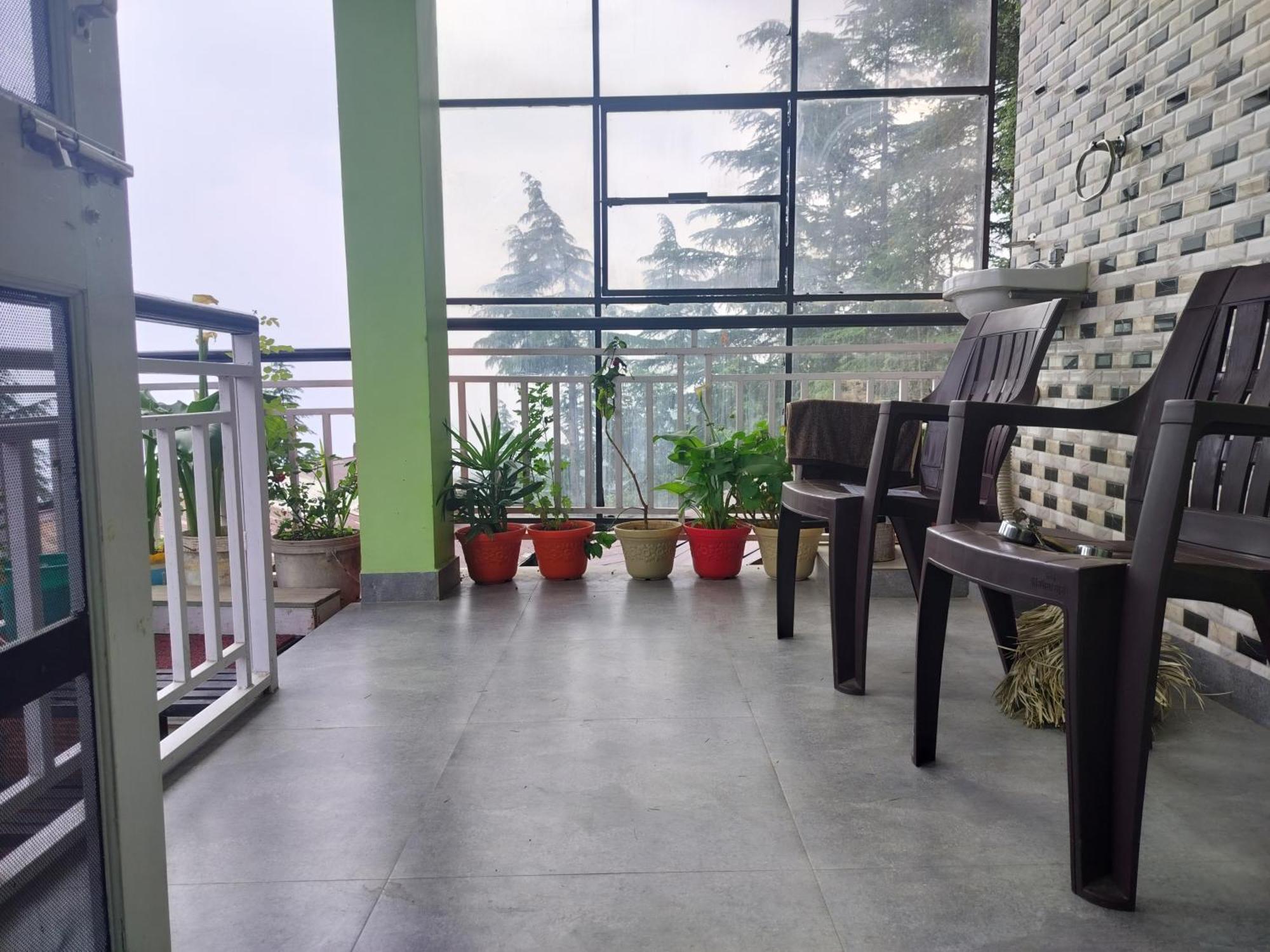 Tree Valley Homestay Chail Exteriér fotografie