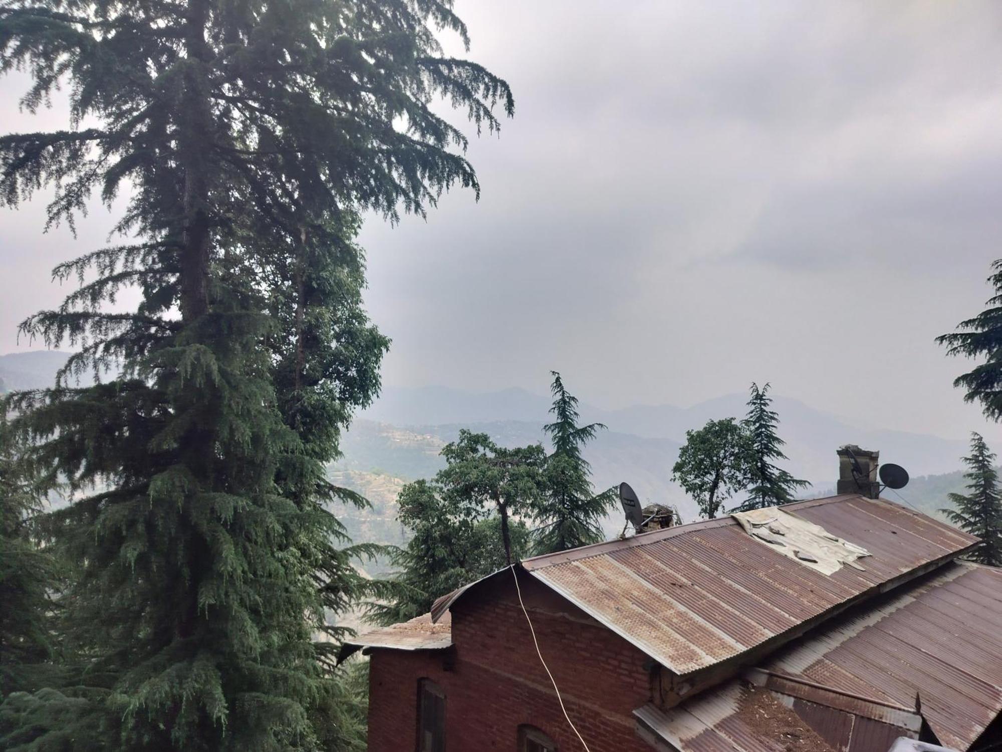 Tree Valley Homestay Chail Exteriér fotografie
