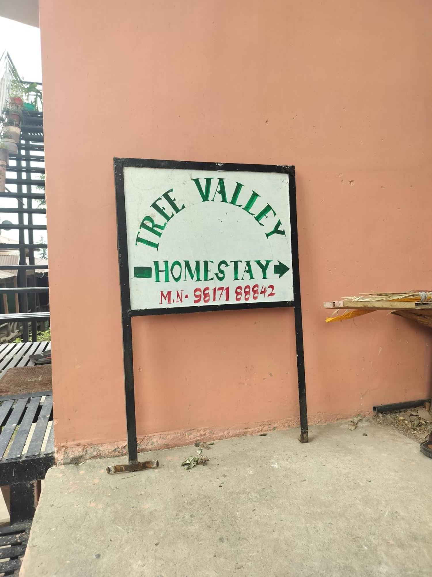 Tree Valley Homestay Chail Exteriér fotografie