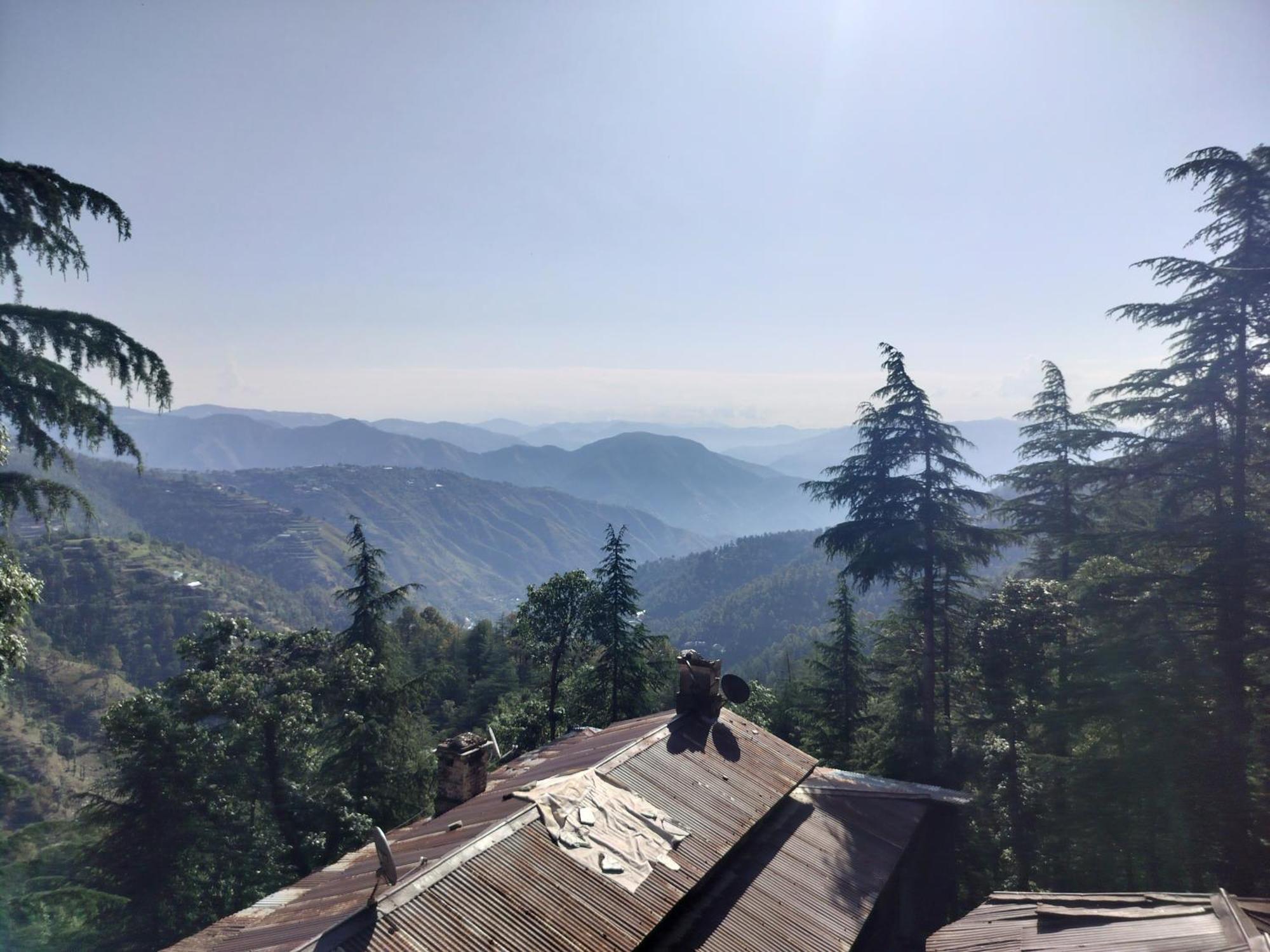 Tree Valley Homestay Chail Exteriér fotografie