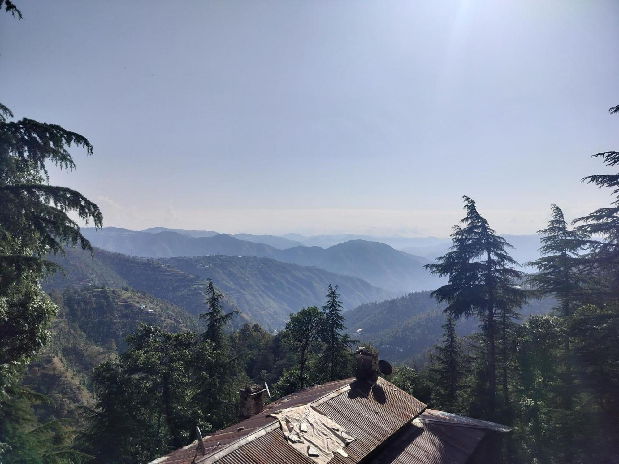 Tree Valley Homestay Chail Exteriér fotografie